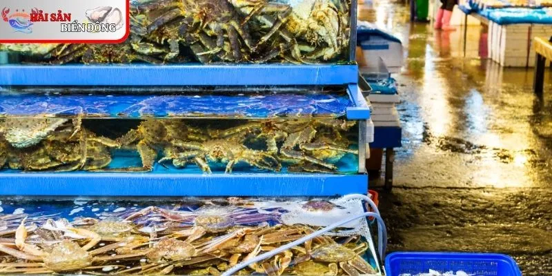 Hướng dẫn chọn hải sản tươi ngon tại chợ