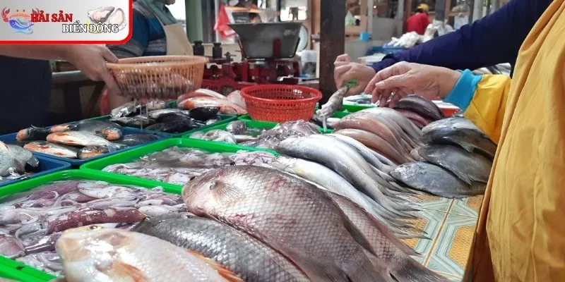 Cách mặc cả giá ở chợ hải sản Quảng Ninh cần nằm lòng